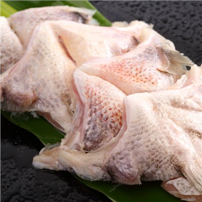 鯛魚下巴