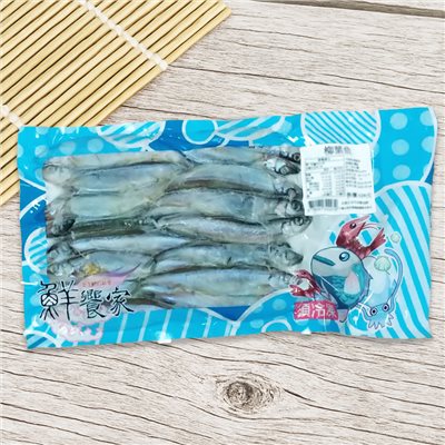 毛鱗魚